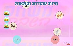 חיות טהורות וטמאות לפרשת שמיני